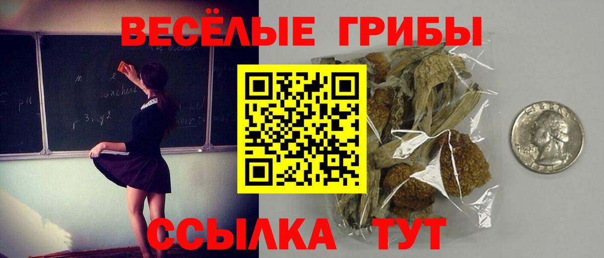 Магадан  купить наркотик  Вход с VPN  Галлюциногенные грибы мицелий 